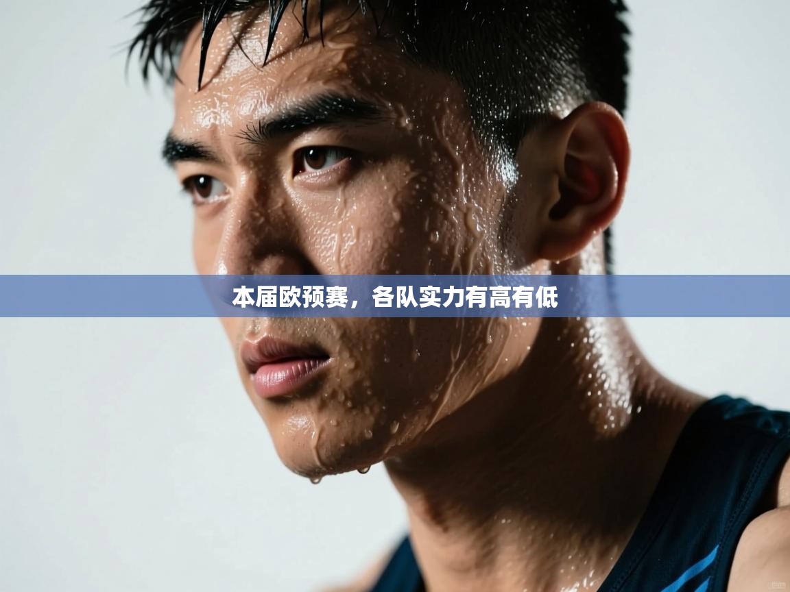 本届欧预赛,各队实力有高有低 第1张